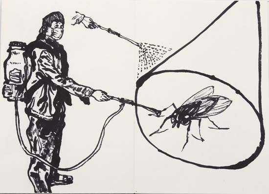 重庆杀虫 飞蛾是益虫还是害虫？